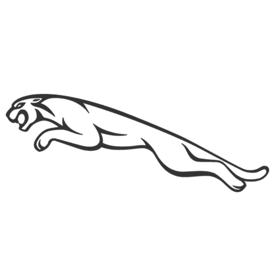 Jaguar Image